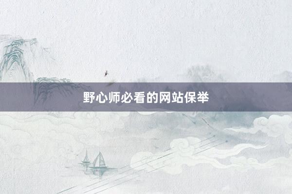 野心师必看的网站保举