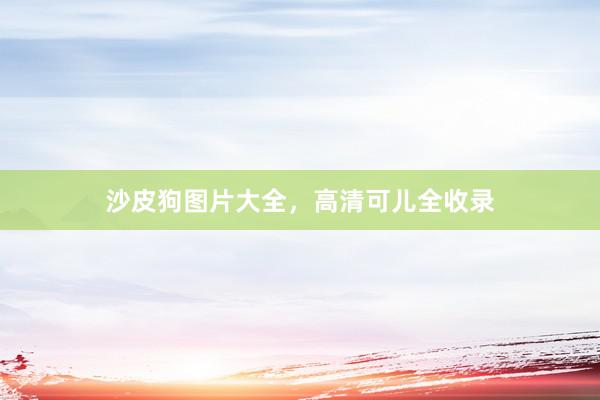 沙皮狗图片大全，高清可儿全收录