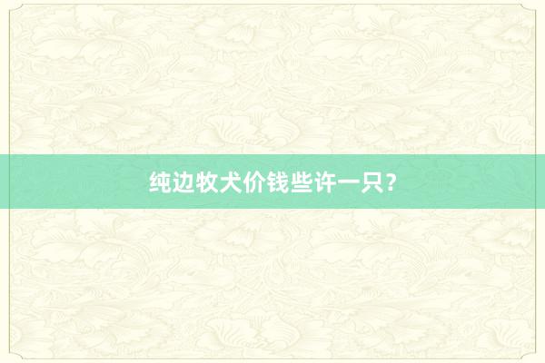 纯边牧犬价钱些许一只？