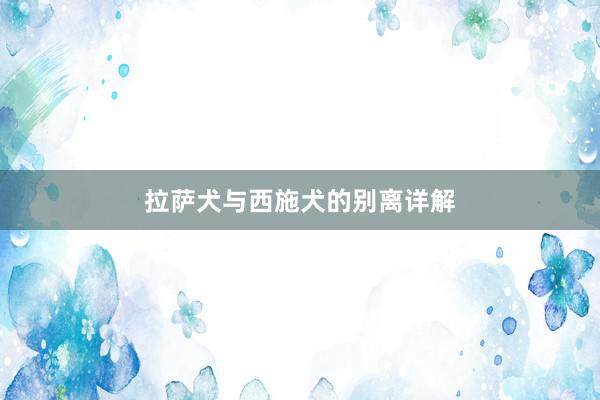 拉萨犬与西施犬的别离详解