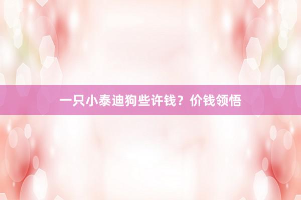 一只小泰迪狗些许钱？价钱领悟