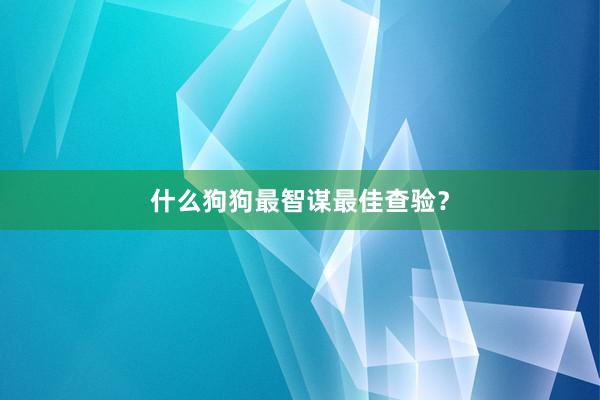 什么狗狗最智谋最佳查验？