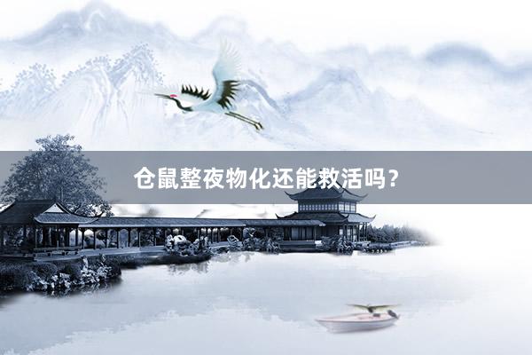 仓鼠整夜物化还能救活吗？