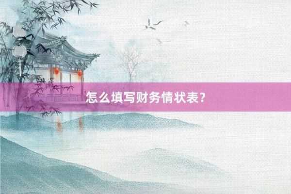 怎么填写财务情状表？